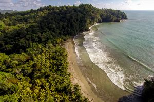 Beach-in-front-of-the-hotel Hotel Cristal Ballena - Enchanting Hotels