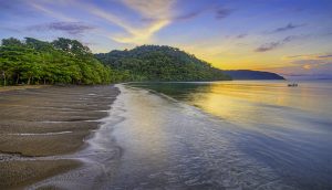 Playa Nicuesa Raiforest