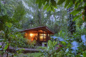 hotel Playa Nicuesa Rainforest Lodge