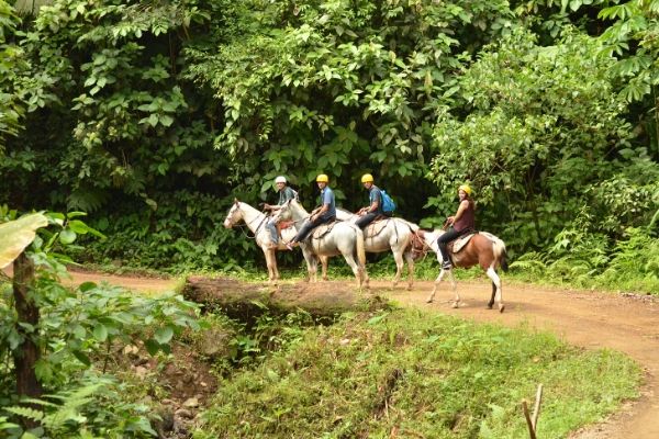 Tucanes tours