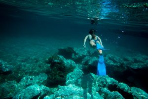 Playa Nicuesa Rainforest Lodge