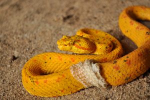 Hotel Hacienda Guachipelin