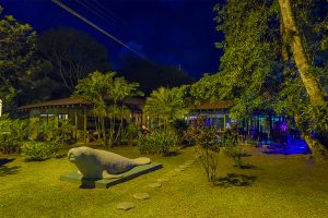 The best Hotel in Tortuguero Costa Rica