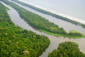 The best Hotel in Tortuguero Costa Rica