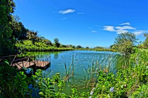 Views from El Establo Restaurant